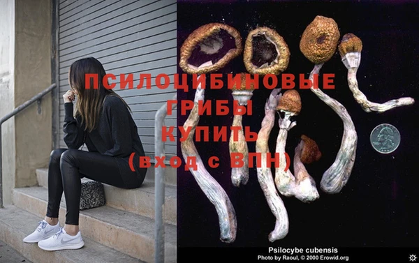 прущая мука Каменка